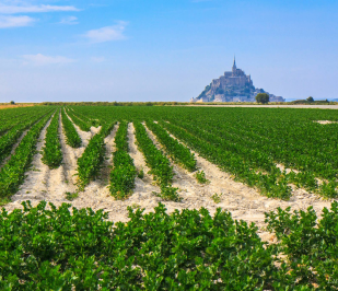 Mont-Saint-Michel en Normandie ou en Bretagne