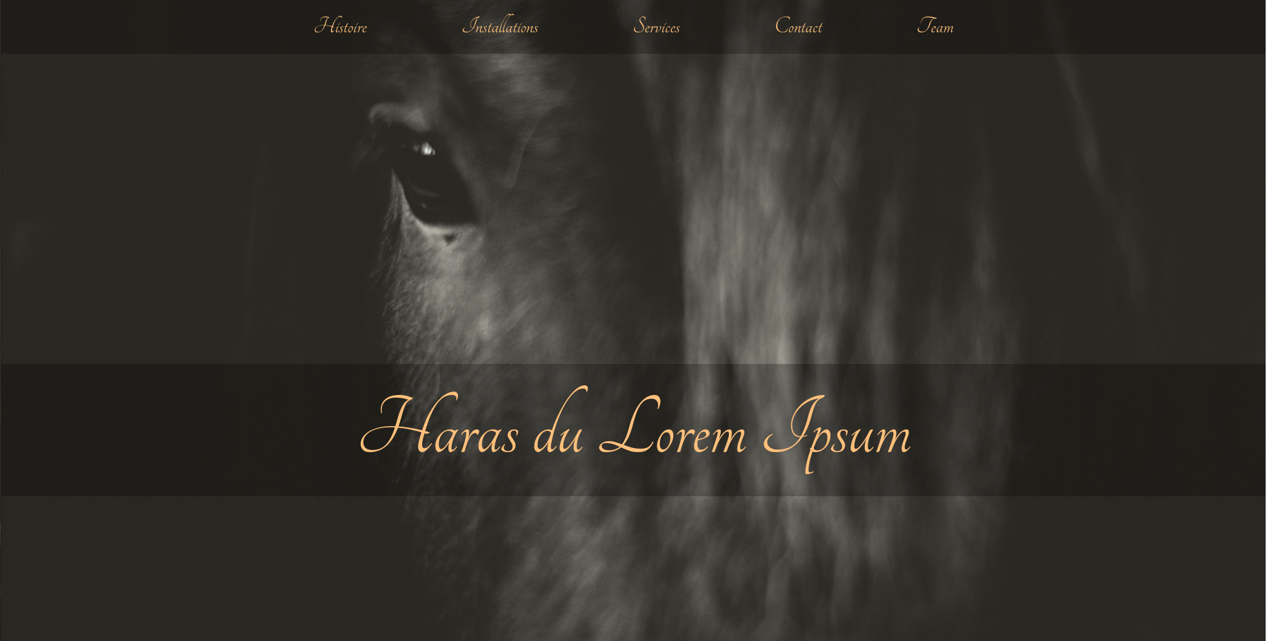 🏇 Site web équestre