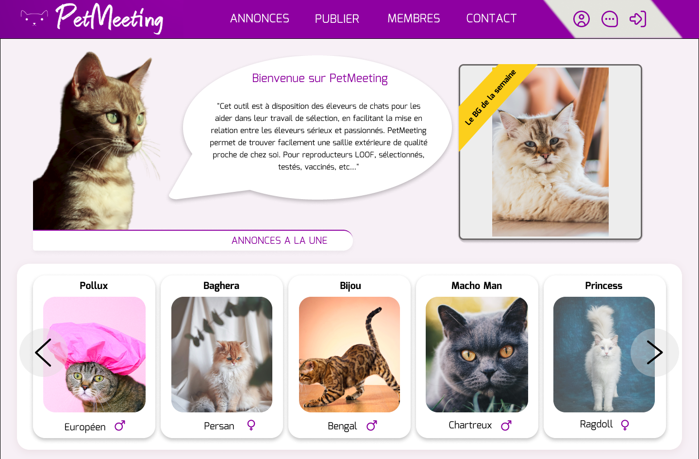🐱 PetMeeting (En cours de développement)